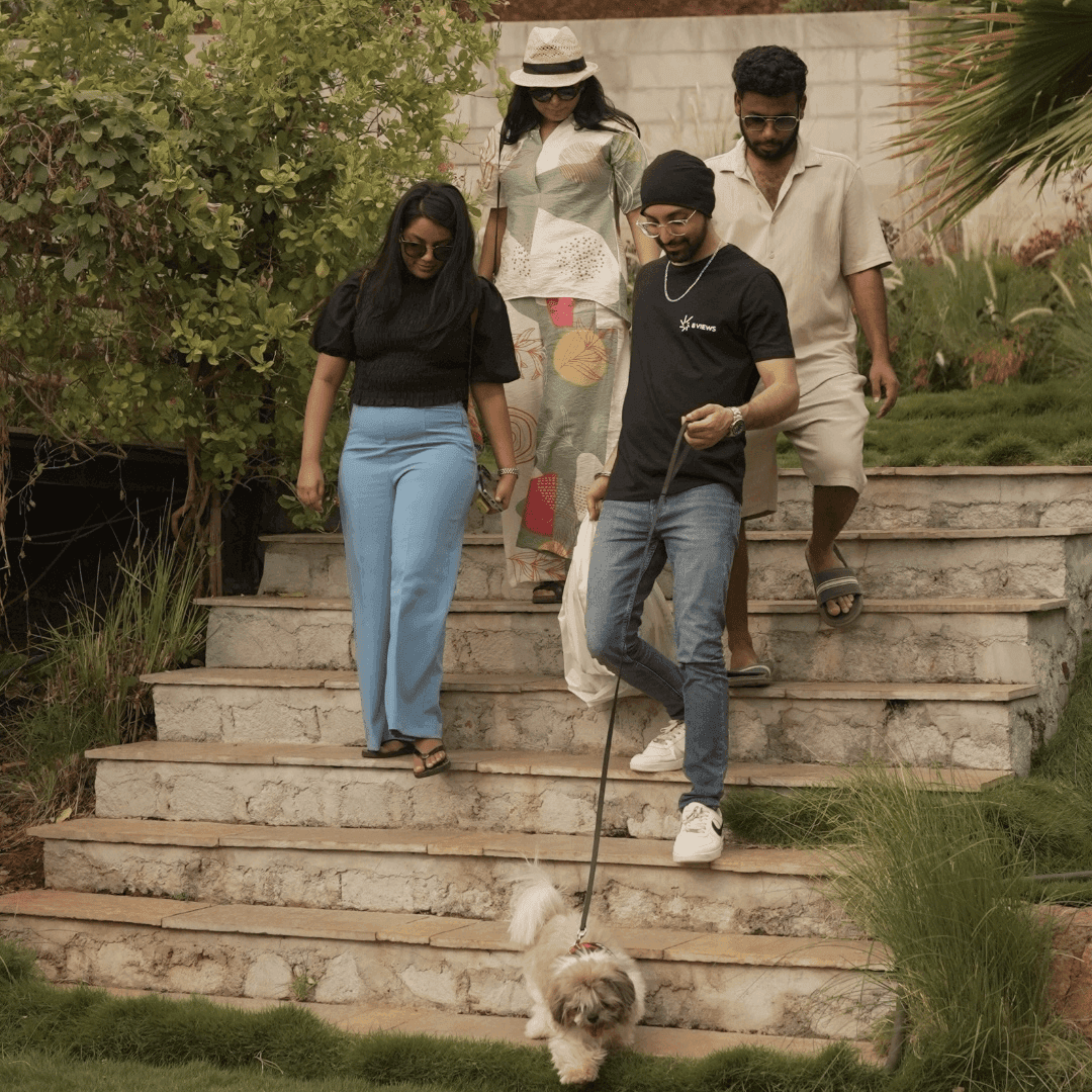 Pet friendly getaways